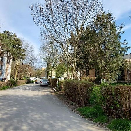 Studio Olimp Black Sea Экстерьер фото